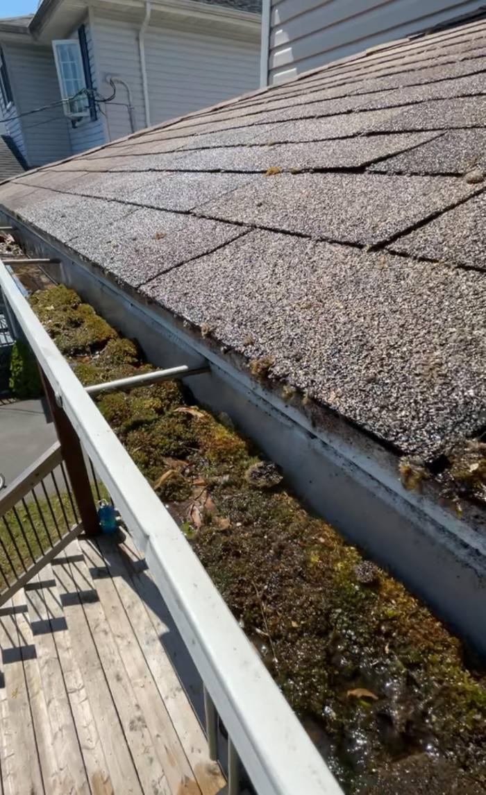 Gutter cleaning in Halifax
